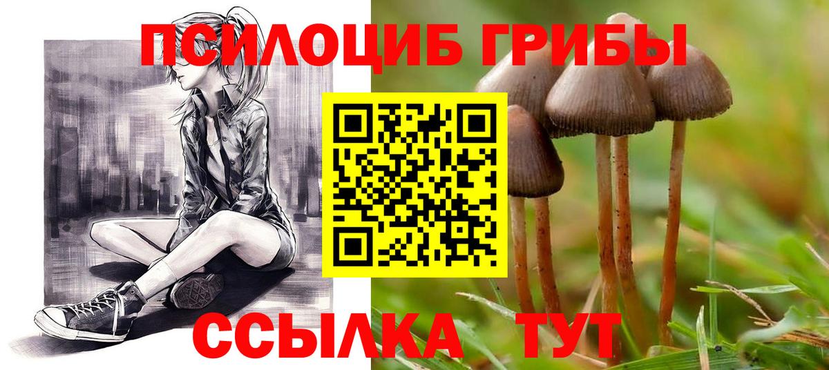 Галлюциногенные грибы прущие грибы Пугачёв
